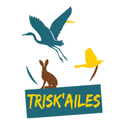 Logo de Trisk'ailes